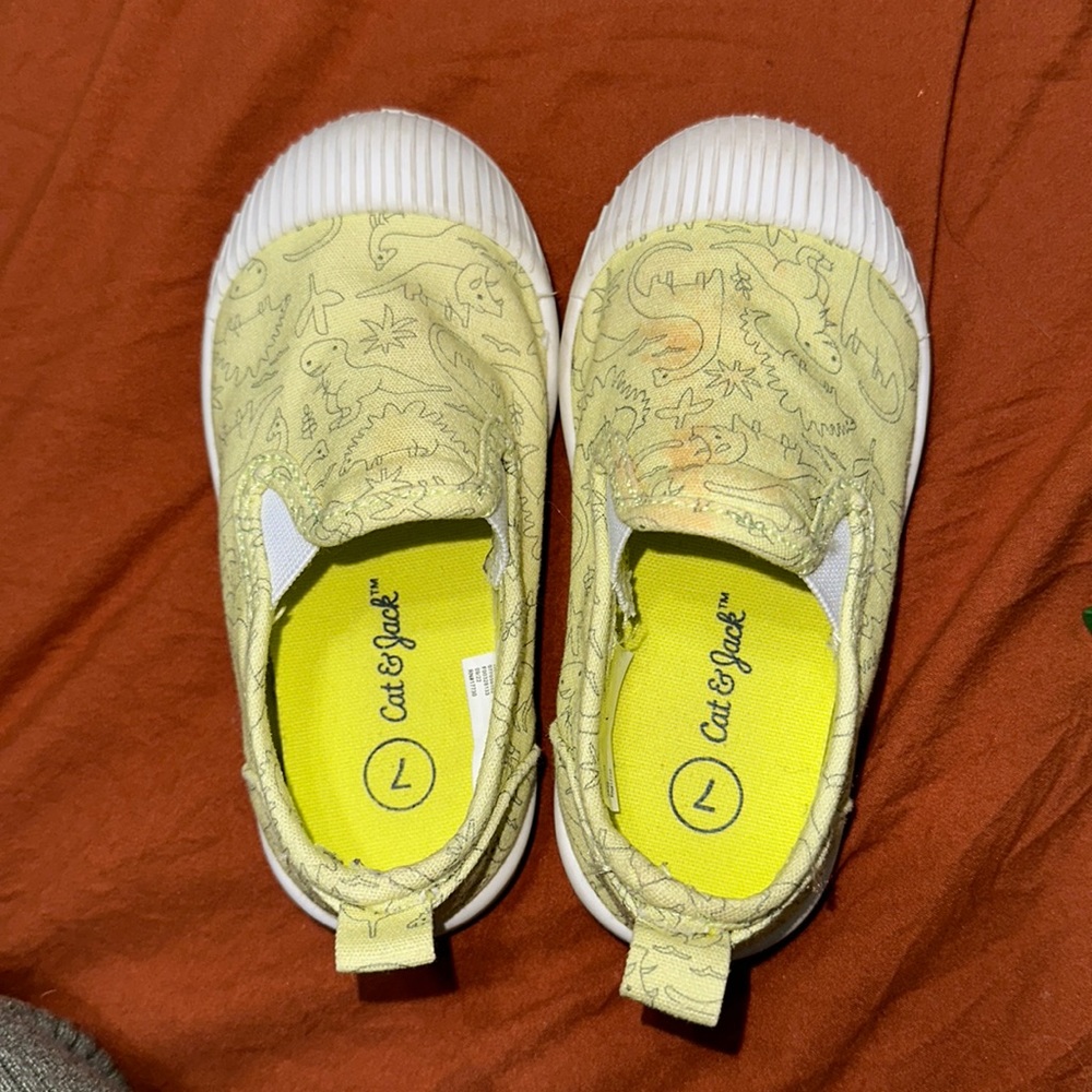 Dinosaur Shoes